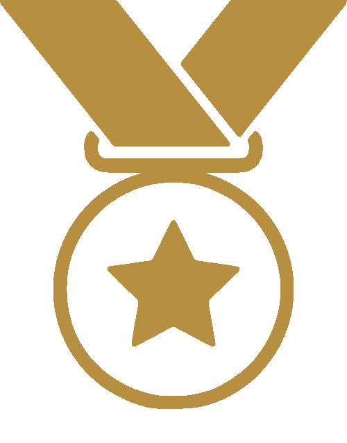 gold medal icon